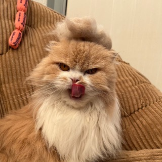 Telegram profile photo for кусочек Тортика и крошка Плюшки