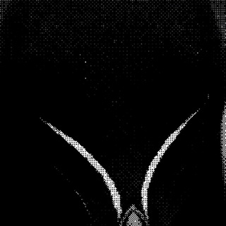 Telegram profile photo for Script