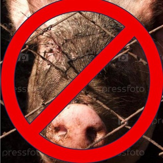 Telegram profile photo for Против свинокомплекса в Скопинском районе