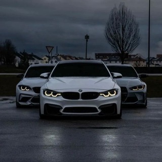 Telegram profile photo for AutoZone
