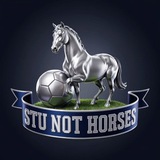 Telegram profile photo for Stu Not Horses and Horses ⚽️🥊⛳️🐎