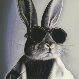 Telegram profile photo for ƓƤ丨تبر دونی