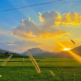 Telegram profile photo for Kênh tool tổng hợp