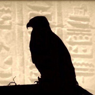 Telegram profile photo for MiD Night