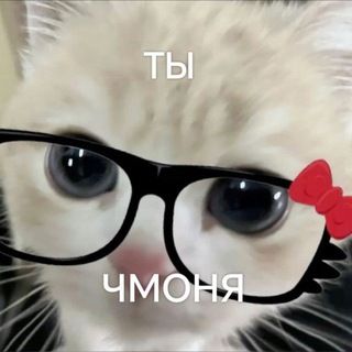 Telegram profile photo for хэппи хауз чмони