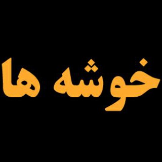 Telegram profile photo for اعضای رسمی خوشه های استانی