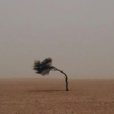 Telegram profile photo for مكتوب