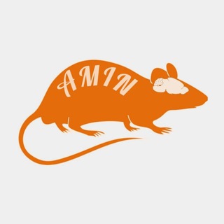 Telegram profile photo for AMIN
