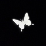 Telegram profile photo for 𝑺𝒘𝒆𝒆𝒕 𝑲𝒊𝒘𝒊