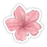 Telegram profile photo for movies & series corner