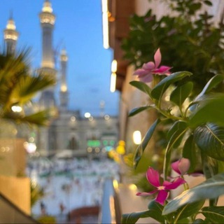 Telegram profile photo for احرص على ماينفعک🌸🌙🌿