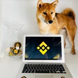 Telegram profile photo for Kai CTO Portal