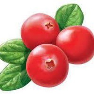 Telegram profile photo for ГУО «Детский сад N16 г. Калинковичи»