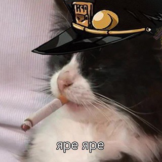 Telegram profile photo for одобрено фондом спидвагона
