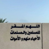 Telegram profile photo for ضَـــوء