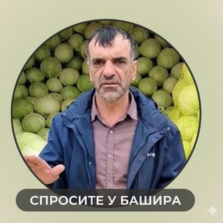 Telegram profile photo for Спросите у Башира