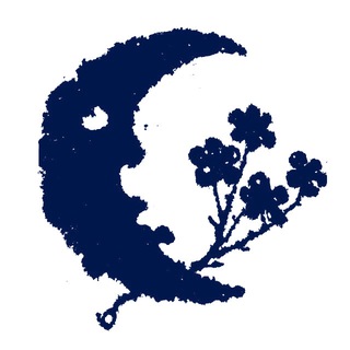 Telegram profile photo for ąཞɬყơɱʄཞơŋıƈƙ