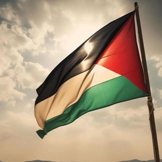Telegram profile photo for Arabs Voip