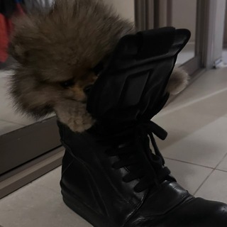 Telegram profile photo for Kingdom Of High fashion