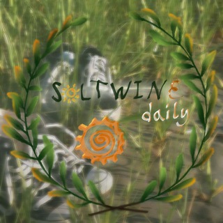Telegram profile photo for ꒰ ๑ soltwine daily!! ₊ ˎˊ˗