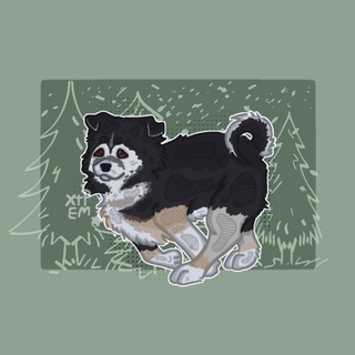 Telegram profile photo for Сибирский медведь🥷🏿
