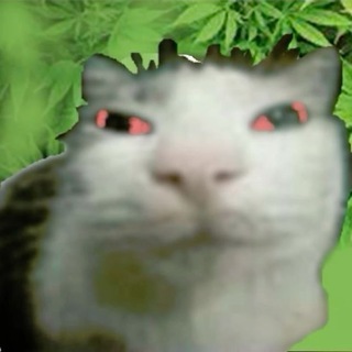 Telegram profile photo for скалолапек💤