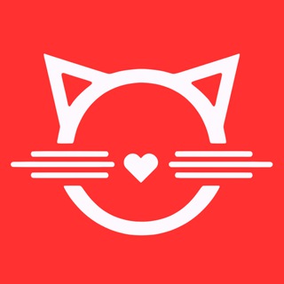 Telegram profile photo for توليدى بامشی BAMSHI