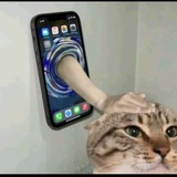 Telegram profile photo for Clocked you as always