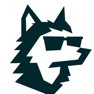 Telegram profile photo for Volkov