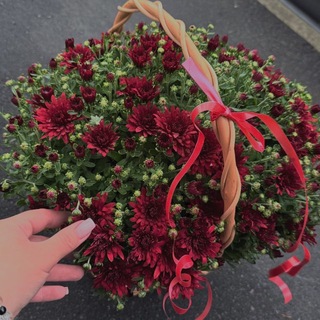 Telegram profile photo for Цветы в Сокольниках🪴🌷💐