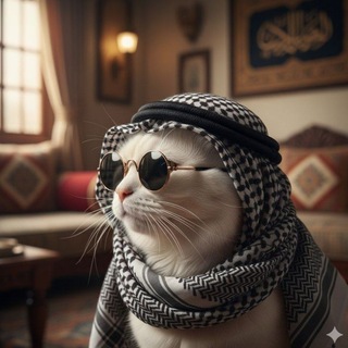 Telegram profile photo for 𝗧𝗔𝗠𝗜𝗠 𝗖𝗼𝗺𝗺𝘂𝗻𝗶𝘁𝘆💥