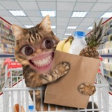 Telegram profile photo for Глист