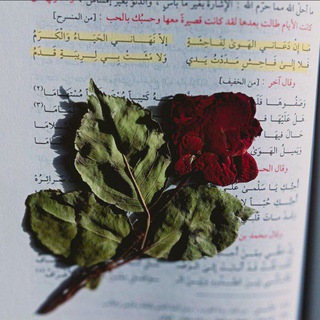 Telegram profile photo for |• سَكينة