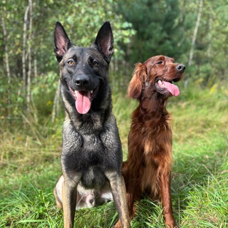 Telegram profile photo for Маффин с Плесенью.