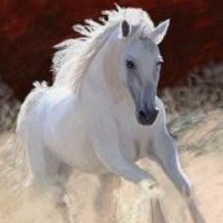 Telegram profile photo for Mapping Daily FOREX & GOLD
