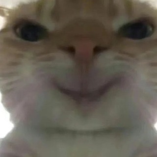 Telegram profile photo for 不嘿嘿