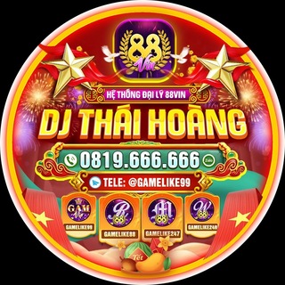 Telegram group profile photo for DJ Thái Hoàng Official