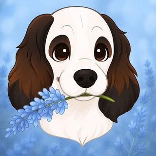 Telegram profile photo for Richie_adresniki