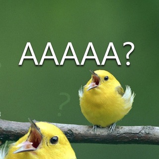 Telegram profile photo for Bird watching works both ways
