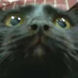 Telegram profile photo for +Solo_Izum+ CFGIZUMABUST