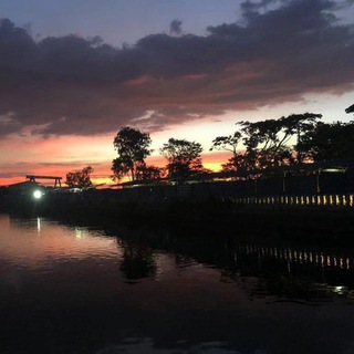 Telegram profile photo for 马尼拉外卖菠菜二手信息基地