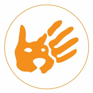 Telegram profile photo for پت شاپ آکیتا / سنندج