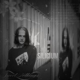 Telegram profile photo for переход//𝙎𝙄𝙇𝙄𝘾𝙄𝙐𝙈 #𝙧𝙤𝙡𝙚𝙫𝙞𝙠