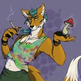 Telegram profile photo for 🍄Грибной Лис🍄