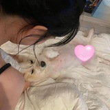 Telegram profile photo for Free unsubs, Vacation.