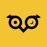 Telegram profile photo for Owlto Finance