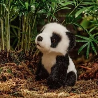 Telegram profile photo for °• 𝘤𝘰𝘯𝘧𝘦𝘴𝘴𝘪𝘰𝘯 𝘨𝘸 𝘱𝘢𝘯𝘥𝘢 •🐼