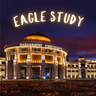Telegram profile photo for eagle study