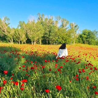 Telegram profile photo for "چهارده شب تا رهایی"🌕