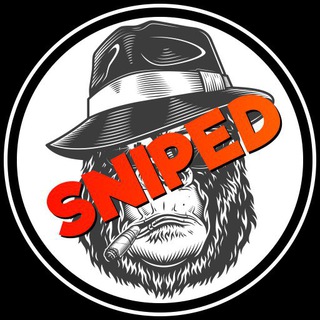 Telegram group profile photo for PancakeSwap Gem Snipe